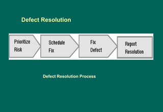 Defect Resolution
Defect Resolution Process
 