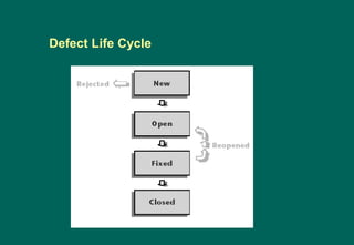 Defect Life Cycle
 