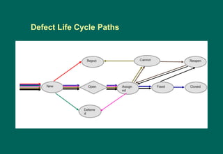 Defect Life Cycle Paths
 