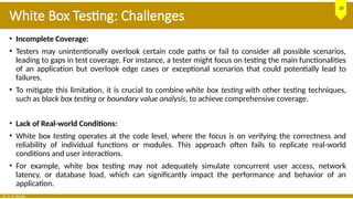 Software Testing Techniques: White Box and Black Box Testing | PPSX
