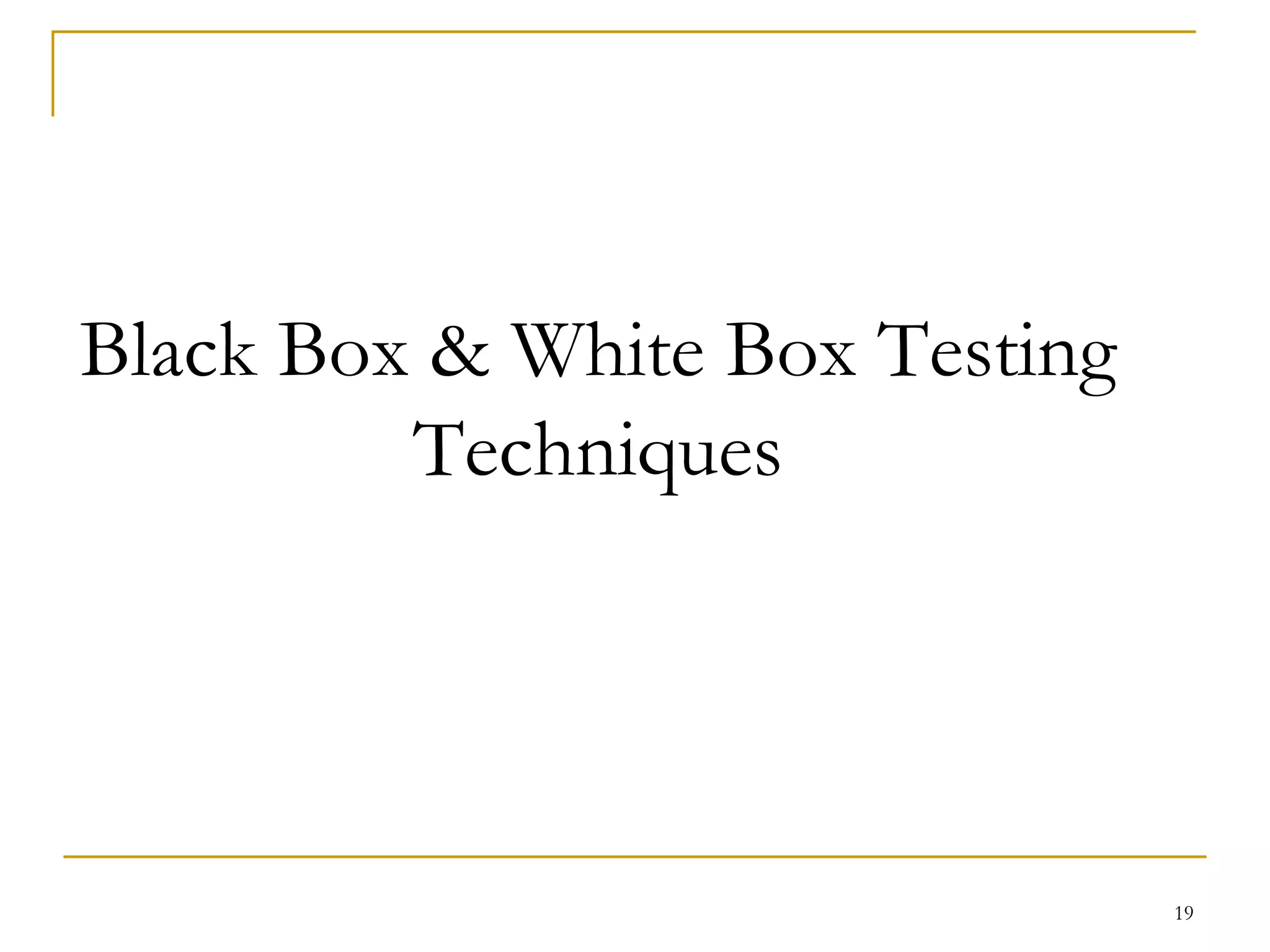 Black Box & White Box Testing Techniques 