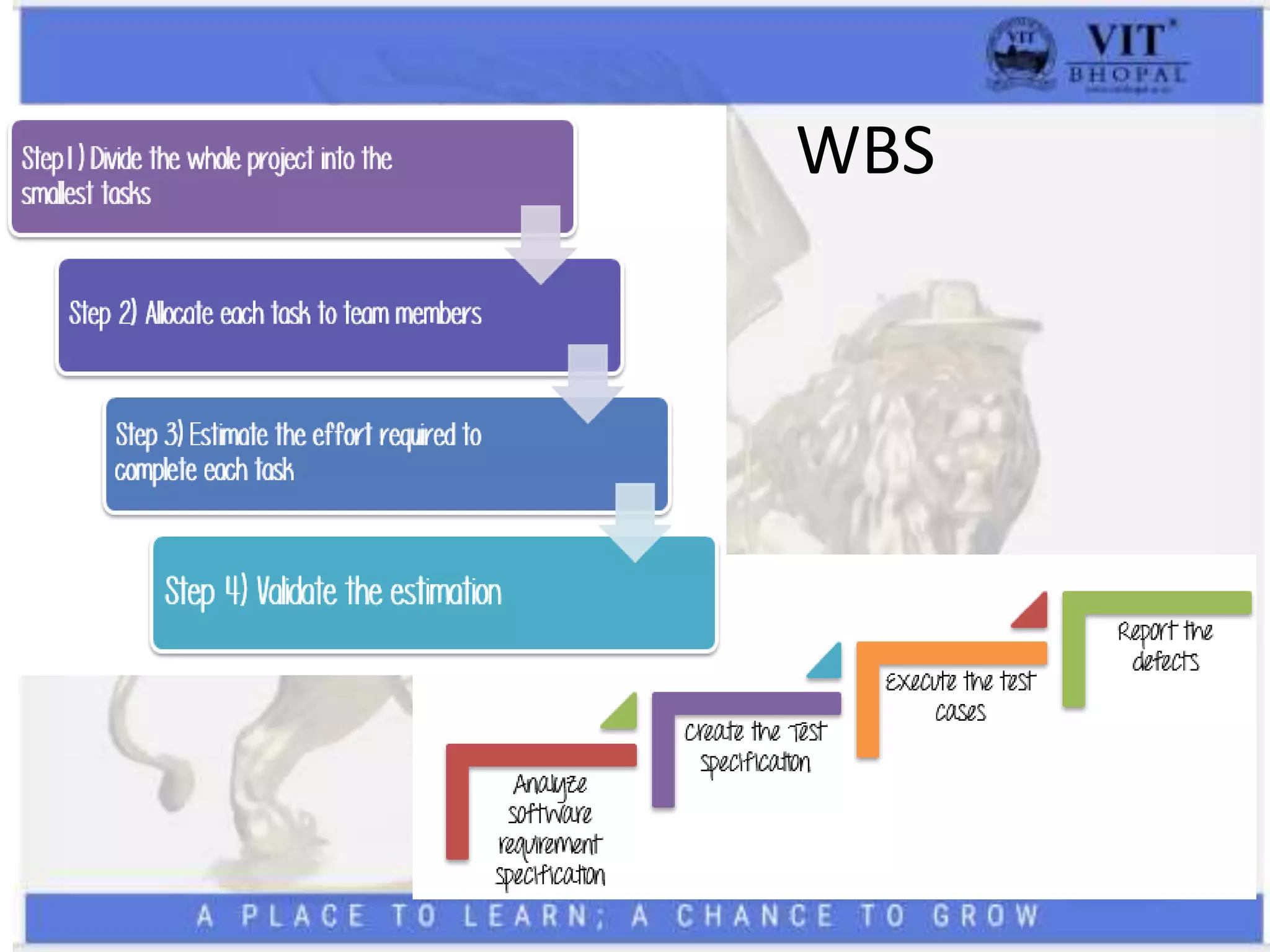 Software_Testing_Overview.pptx