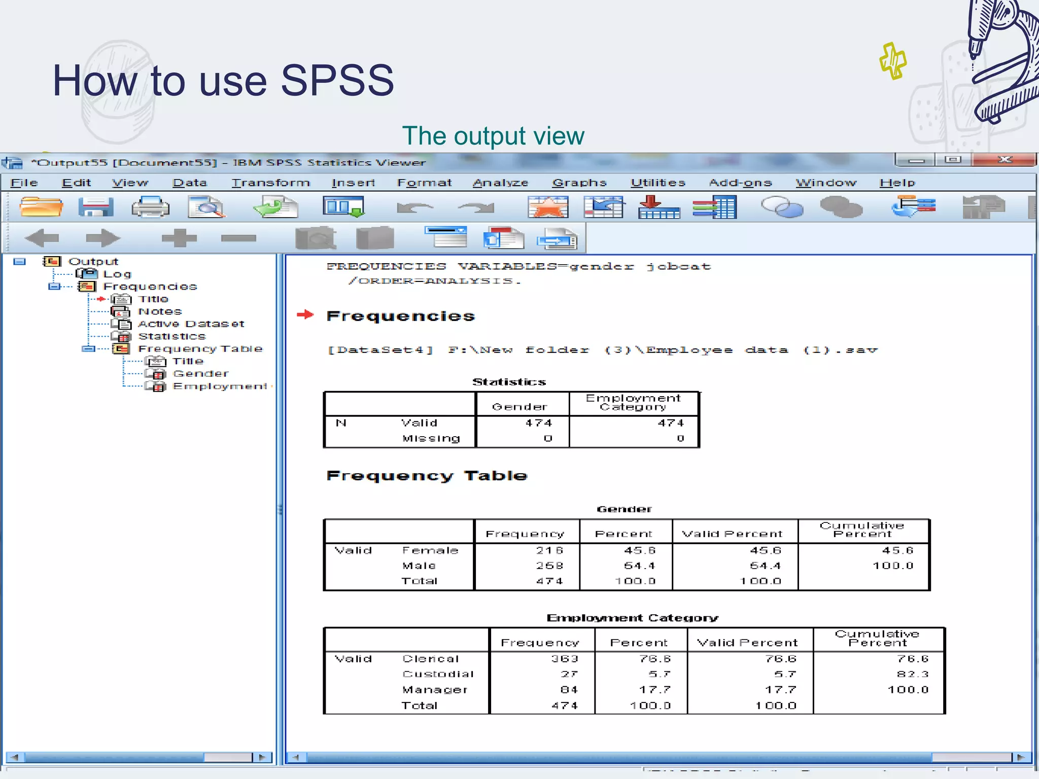 How to use SPSS
The output view
 