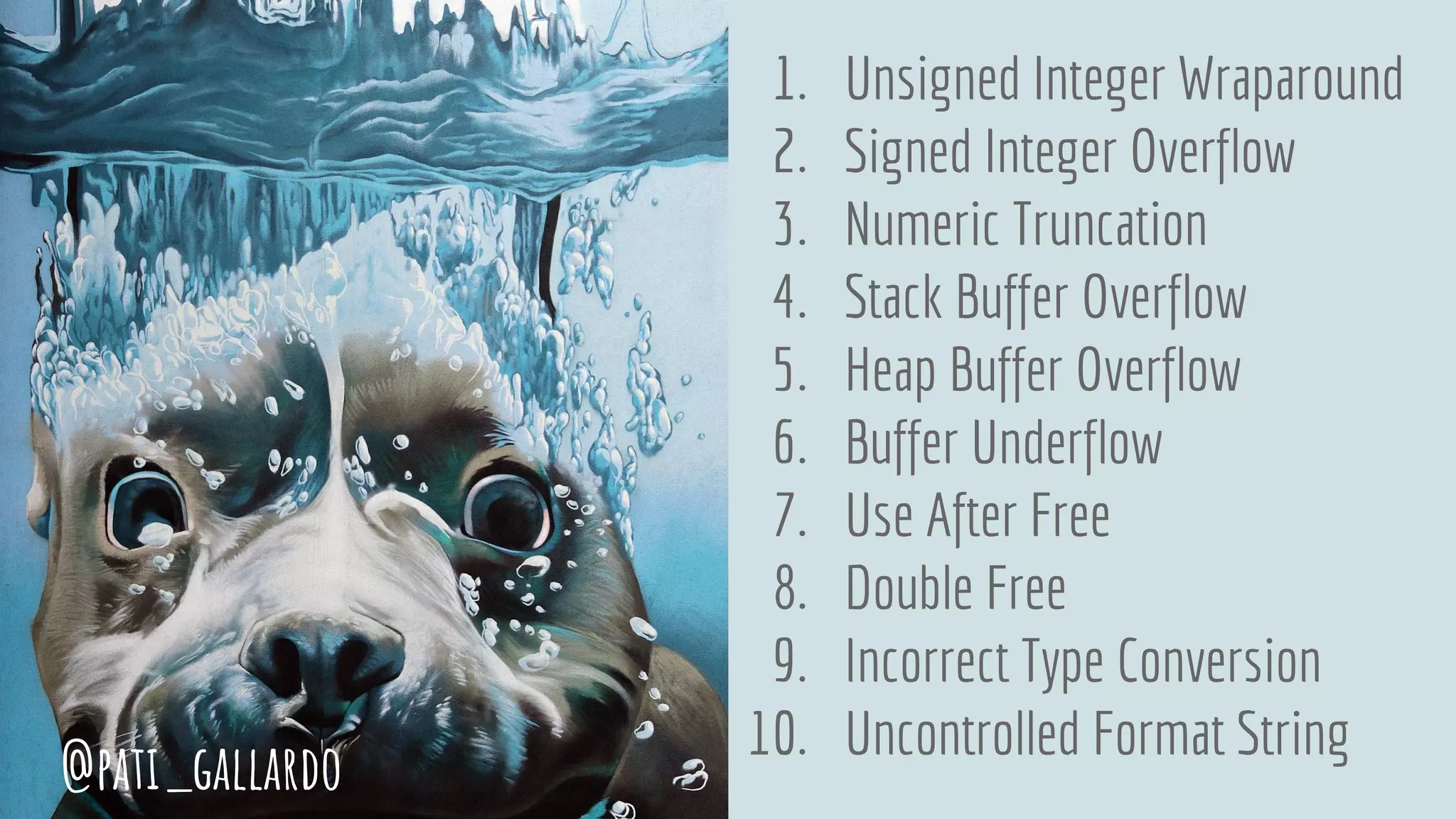 1. Unsigned Integer Wraparound
2. Signed Integer Overflow
3. Numeric Truncation
4. Stack Buffer Overflow
5. Heap Buffer Overflow
6. Buffer Underflow
7. Use After Free
8. Double Free
9. Incorrect Type Conversion
10. Uncontrolled Format String
@pati_gallardo
 