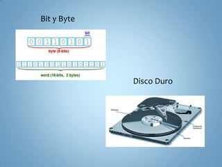                Bit y Byte                                                                Disco Duro