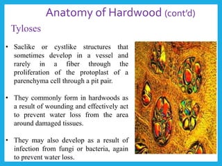 • Saclike or cystlike structures that
sometimes develop in a vessel and
rarely in a fiber through the
proliferation of the protoplast of a
parenchyma cell through a pit pair.
• They commonly form in hardwoods as
a result of wounding and effectively act
to prevent water loss from the area
around damaged tissues.
• They may also develop as a result of
infection from fungi or bacteria, again
to prevent water loss.
Anatomy of Hardwood (cont’d)
Tyloses
 