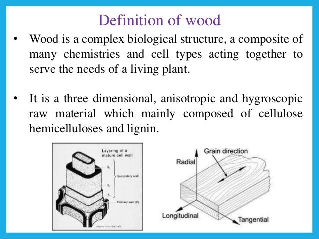 Softwood