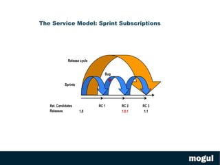 The Long Tail One size does not fit all 