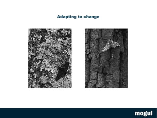 get bundled software free or roll your own 