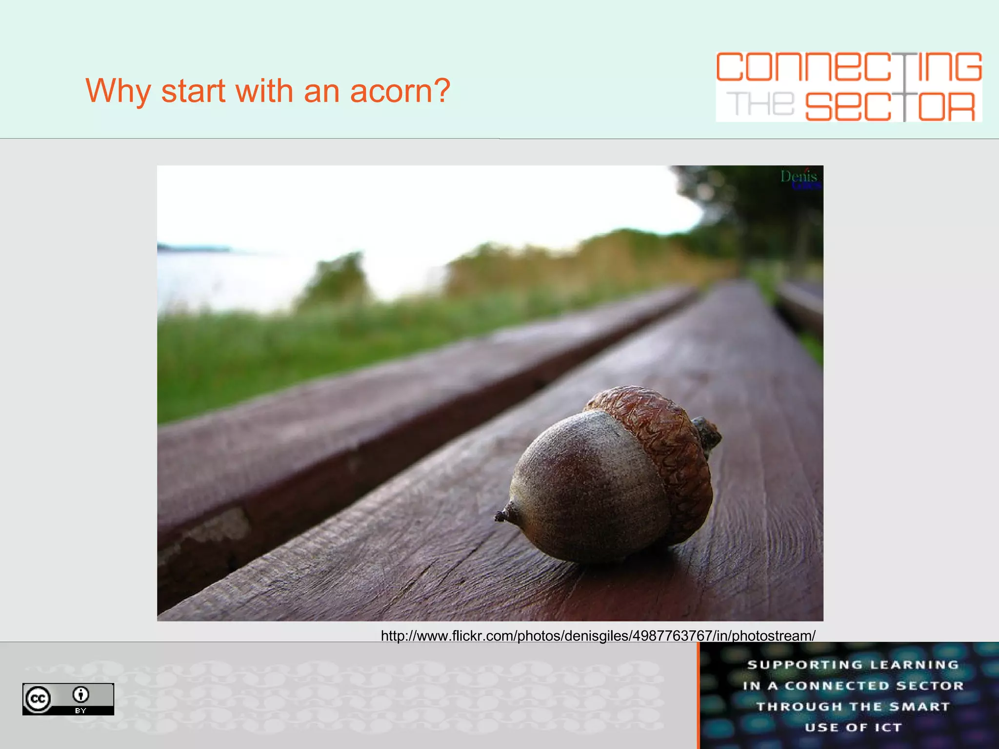 Why start with an acorn? http://www.flickr.com/photos/denisgiles/4987763767/in/photostream/