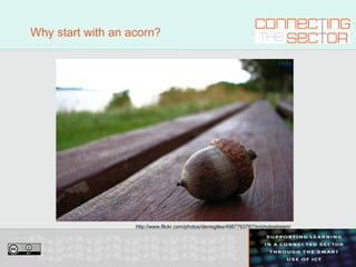 Why start with an acorn? http://www.flickr.com/photos/denisgiles/4987763767/in/photostream/ 