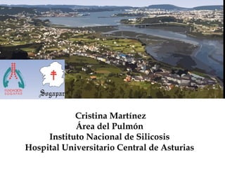 Cristina Martínez Área del Pulmón  Instituto Nacional de Silicosis  Hospital Universitario Central de Asturias   