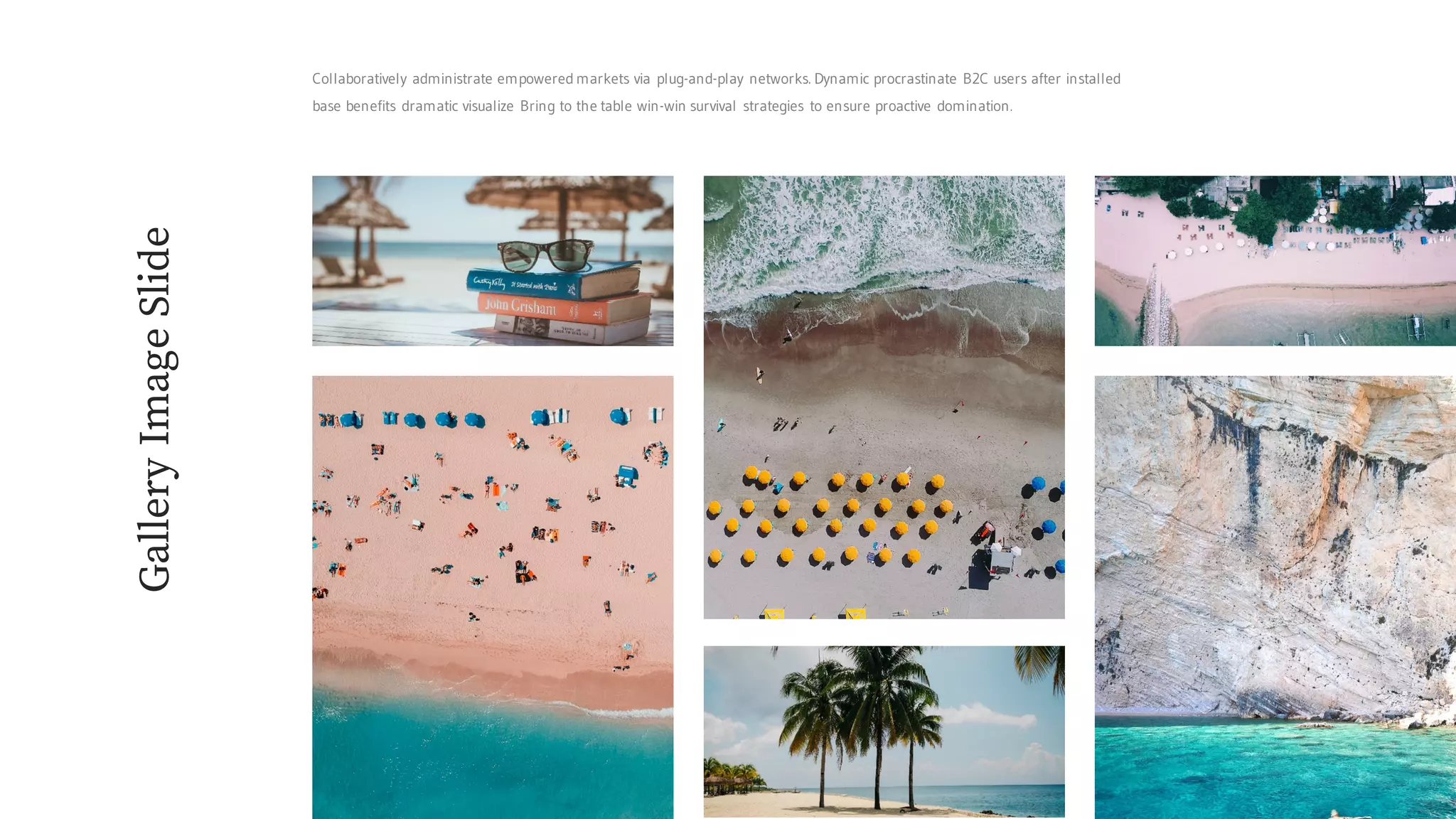 GalleryImageSlide
Collaboratively administrate empowered markets via plug-and-play networks. Dynamic procrastinate B2C users after installed
base benefits dramatic visualize Bring to the table win-win survival strategies to ensure proactive domination.
 
