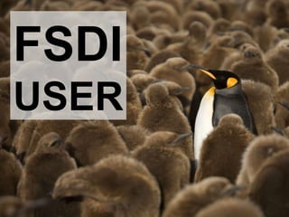 FSDI USER 