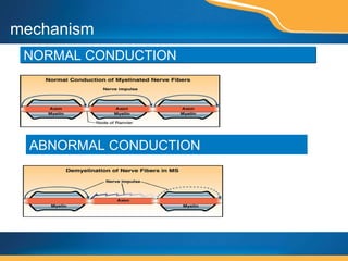 NORMAL CONDUCTION ABNORMAL CONDUCTION mechanism 