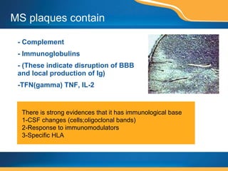 MS plaques contain  - Complement - Immunoglobulins - (These indicate disruption of BBB and local production of Ig) -TFN(gamma) TNF, IL-2 There is strong evidences that it has immunological base 1-CSF changes (cells;oligoclonal bands)  2-Response to immunomodulators 3-Specific HLA 
