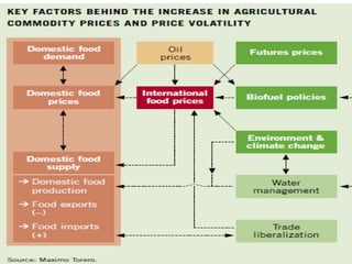 Big picture overview of challenges and opportunities for achieving food security in Asia
