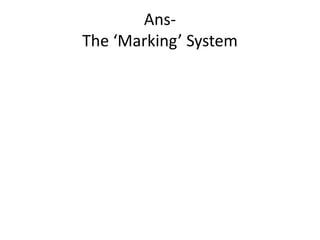 AnsThe ‘Marking’ System

 