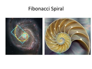 Fibonacci Spiral

 