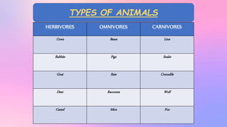 TYPES OF ANIMALS
HERBIVORES OMNIVORES CARNIVORES
Cows Bears Lion
Rabbits Pigs Snake
Goat Rats Crocodile
Deer Raccoons Wolf
Camel Mice Fox
 