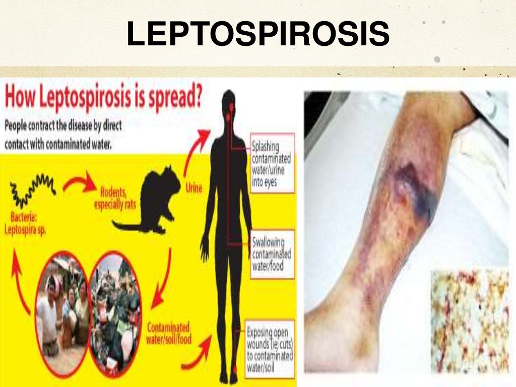 Emerging and Re-emerging Infectious Diseases