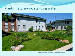 Green infrastructure policy for stormwater infiltration
