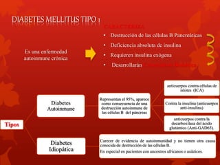 DIABETES MELLITUS TIPO 1 
Es una enfermedad 
autoinmune crónica 
CARACTERIZA 
• Destrucción de las células B Pancreáticas 
• Deficiencia absoluta de insulina 
• Requieren insulina exógena 
• Desarrollarán Cetoacidosis Diabética 
Tipos 
Diabetes 
Autoinmune 
Representan el 95%, aparece 
como consecuencia de una 
destrucción autoinmune de 
las células B del páncreas 
anticuerpos contra células de 
islotes (ICA) 
Contra la insulina (anticuerpos 
anti-insulina) 
anticuerpos contra la 
decarboxilasa del ácido 
glutámico (Anti-GAD65). 
Diabetes 
Idiopática 
Carecer de evidencia de autoinmunidad y no tienen otra causa 
conocida de destrucción de las células B. 
En especial en pacientes con ancestros africanos o asiáticos. 
 