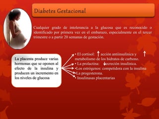 Cualquier grado de intolerancia a la glucosa que es reconocido o 
identificado por primera vez en el embarazo, especialmente en el tercer 
trimestre o a partir 20 semanas de gestación. 
La placenta produce varias 
hormonas que se oponen al 
efecto de la insulina y 
producen un incremento en 
los niveles de glucosa 
• El cortisol: acción antiinsulínica y 
metabolismo de los hidratos de carbono. 
• La prolactina: secreción insulínica. 
•Los estrógenos: competidora con la insulina 
•La progesterona. 
• Insulinasas placentarias 
 