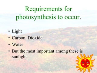 Requirements for
      photosynthesis to occur.

•   Light
•   Carbon Dioxide
•   Water
•   But the most important among these is
    sunlight
 