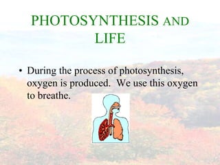 PHOTOSYNTHESIS AND
         LIFE

• During the process of photosynthesis,
  oxygen is produced. We use this oxygen
  to breathe.
 