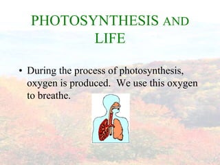 photosynthesis and
               respiration
  SUN




          RADIANT
          ENERGY

PHOTOSYNTHESIS         RESPIRA...