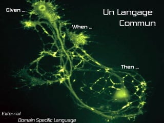 Soigner Sa Schizophrénie