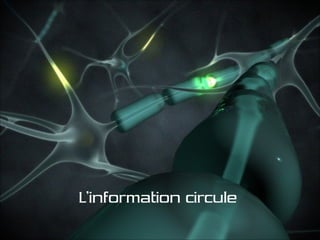 Soigner Sa Schizophrénie