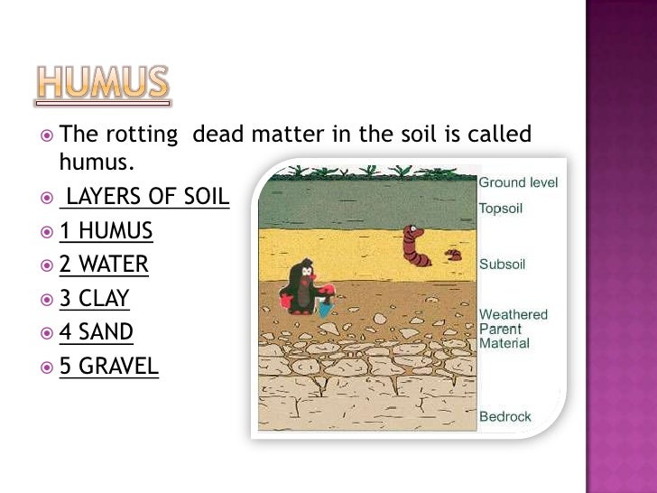 Soil