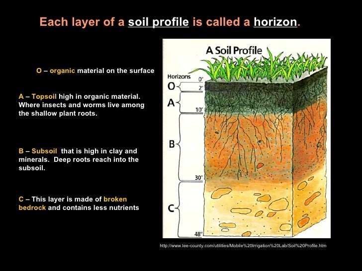 Soil