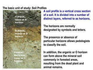 Normal Soil Profile Principles of soil science | PPT