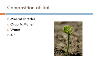 Soil