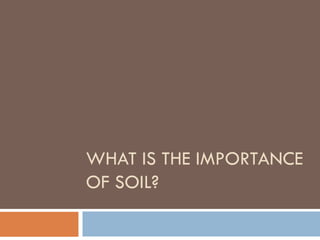WHAT IS THE IMPORTANCE
OF SOIL?