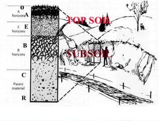 o
    A
        TOP SOIL
    E


B
        SUBSOIL
C


R
 