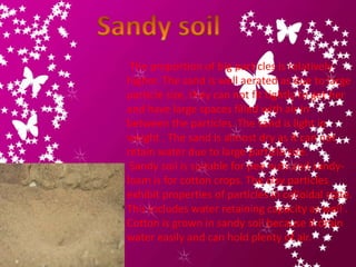 The proportion of big particles is relatively
higher. The sand is well aerated as due to large
particle size, they can not fit tightly to get her
and have large spaces filled with air in
between the particles. The sand is light in
weight . The sand is almost dry as it can not
retain water due to large particle size.
 Sandy soil is suitable for pee nuts and sandy-
loam is for cotton crops. The clay particles
exhibit properties of particles in colloidal state.
This includes water retaining capacity as well .
Cotton is grown in sandy soil because it drain
water easily and can hold plenty of air.
 