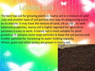 The best top soil for growing plants is loamy soil is a mixture of sand
,clay and another type of soil particle One way of categorizing soil is
by its texture: it may have the texture of sand, silt or clay . Its well-
balanced properties, loamy soil is highly regarded for agriculture
purposes is easy to work. A loamy soil is most suitable for plant
growth as it contains some large particles to keep the soil porous and
smaller particles for increasing its water holding capacity.
Wheat, gram and other pulses are grown in loamy soil.
 