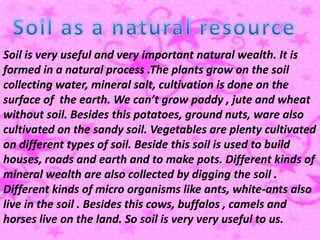 Soil is very useful and very important natural wealth. It is
formed in a natural process .The plants grow on the soil
collecting water, mineral salt, cultivation is done on the
surface of the earth. We can’t grow paddy , jute and wheat
without soil. Besides this potatoes, ground nuts, ware also
cultivated on the sandy soil. Vegetables are plenty cultivated
on different types of soil. Beside this soil is used to build
houses, roads and earth and to make pots. Different kinds of
mineral wealth are also collected by digging the soil .
Different kinds of micro organisms like ants, white-ants also
live in the soil . Besides this cows, buffalos , camels and
horses live on the land. So soil is very very useful to us.
 
