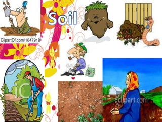 Soil