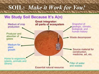 SOIL:   Make it Work for You!   We Study Soil Because It’s A(n) Great integrator: all parts of ecosystem Producer and absorber of gases Medium for plant growth Medium of crop production Home to organisms (plants, animals and others) Waste decomposer Snapshot  of geologic, climatic,  biological, and human history Source material for construction,  medicine, art, etc. Filter of water and wastes Essential natural resource 