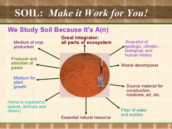 Soil