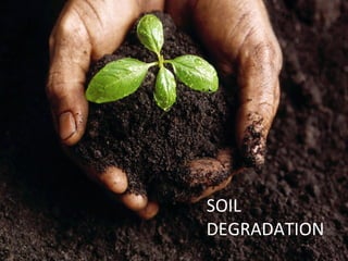 SOIL DEGRADATION SOIL DEGRADATION 