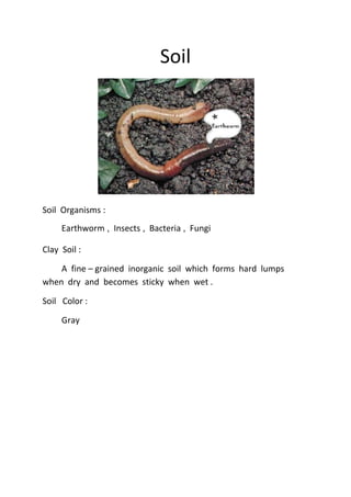 Soil




Soil Organisms :
     Earthworm Insects Bacteria Fungi

Clay Soil :

    A fine – grained inorganic soil which forms hard lumps
when dry and becomes sticky when wet .

Soil Color :

     Gray
 