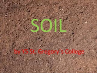 SOIL
by Y5 St. Gregory´s College
 