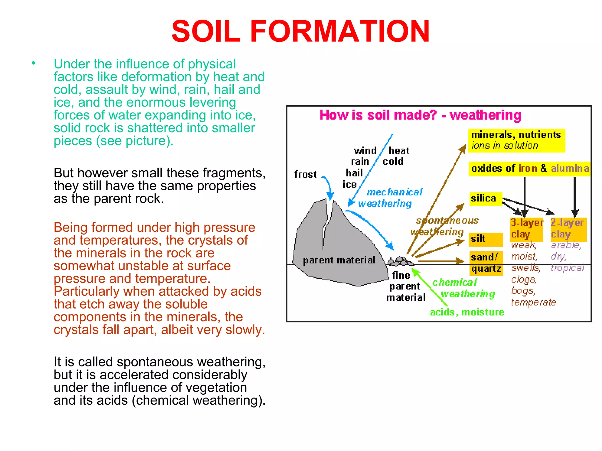 SOIL FORMATION
•

Under the influence of physical
factors like deformation by heat and
cold, assault by wind, rain, hail and
ice, and the enormous levering
forces of water expanding into ice,
solid rock is shattered into smaller
pieces (see picture).
But however small these fragments,
they still have the same properties
as the parent rock.
Being formed under high pressure
and temperatures, the crystals of
the minerals in the rock are
somewhat unstable at surface
pressure and temperature.
Particularly when attacked by acids
that etch away the soluble
components in the minerals, the
crystals fall apart, albeit very slowly.
It is called spontaneous weathering,
but it is accelerated considerably
under the influence of vegetation
and its acids (chemical weathering).

 