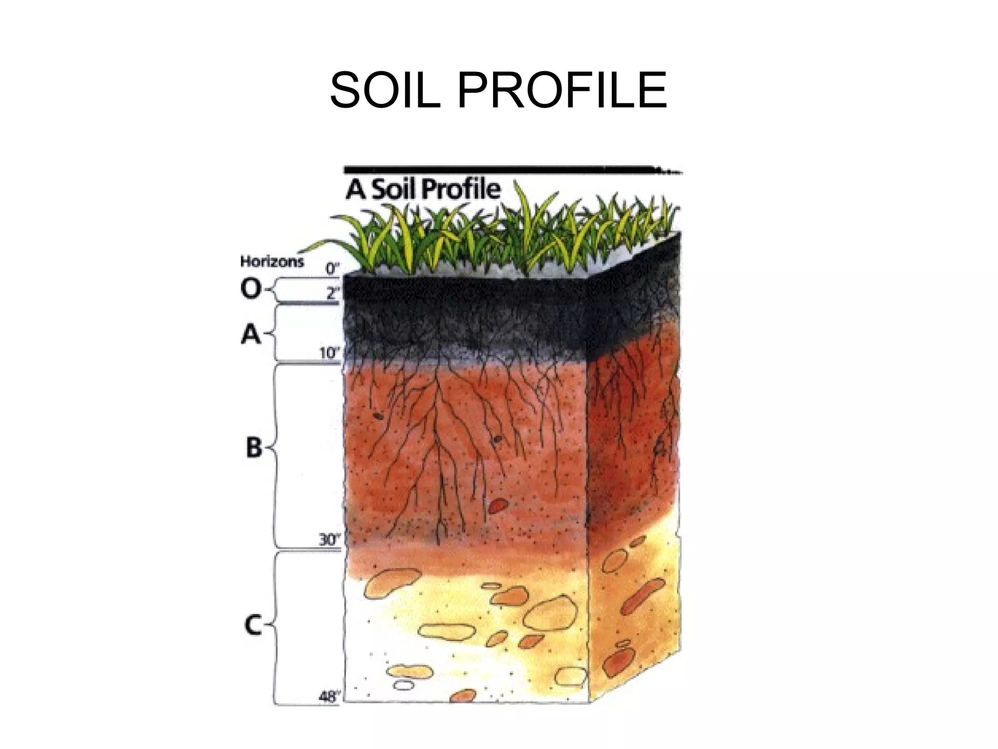 SOIL PROFILE

 